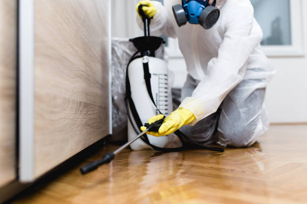 Best Ant Control Services  in Roland, OK