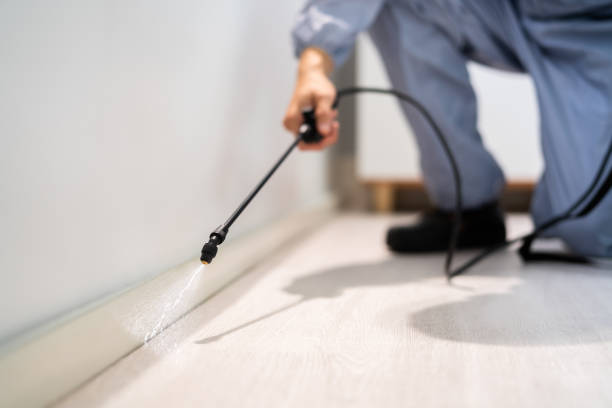 Best Pest Prevention Services  in Roland, OK