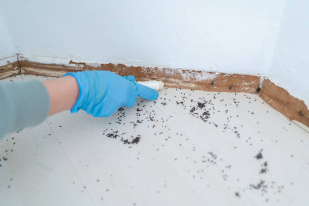 Best Residential Pest Control  in Roland, OK